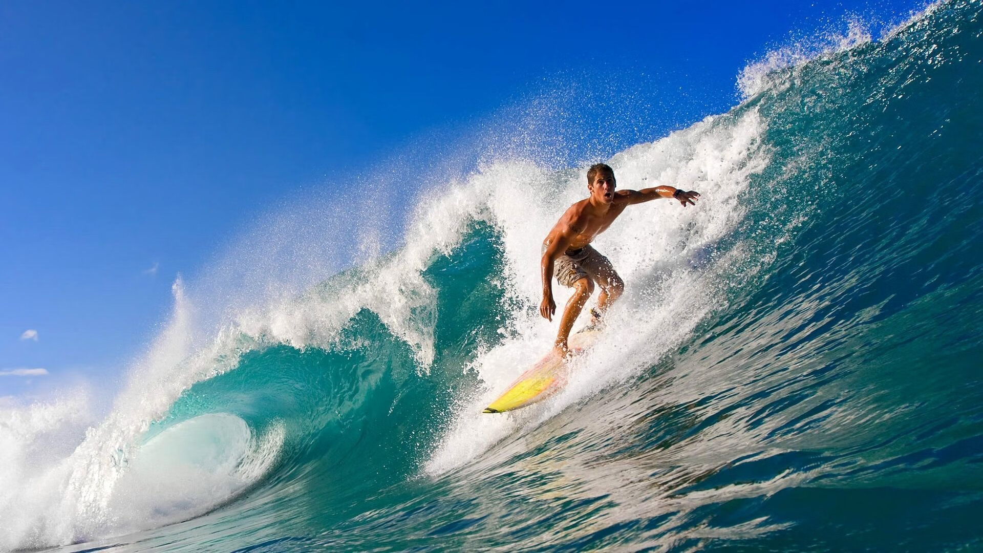 德约科维奇逆转取胜 晋级温网四强